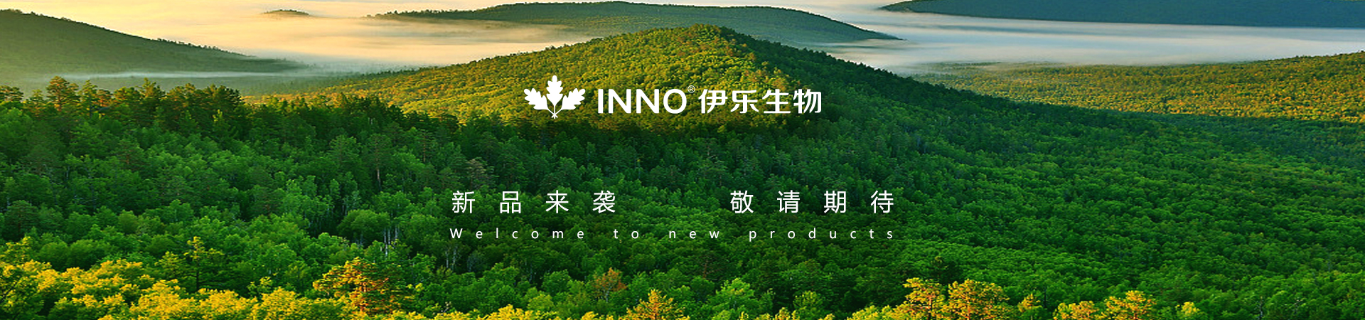 首页banner