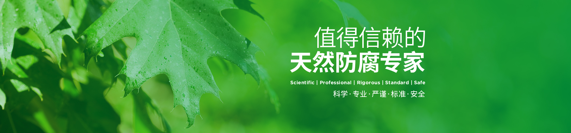 首页banner